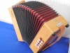 Castagnari Studio D-G button accordion